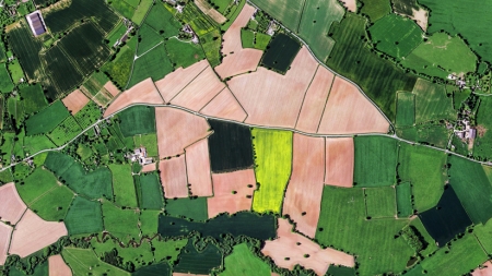 Vue aérienne de champs agricoles